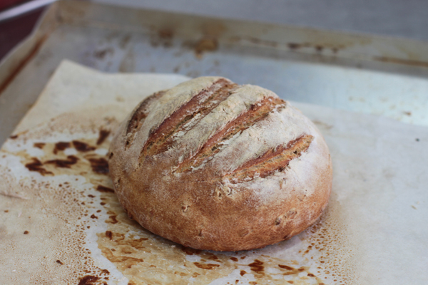 Post image for Sprouted Wheat Loaf Recipe